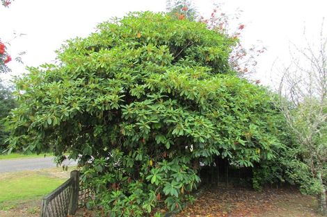 Photo of property in 45 Town Belt South, Blackball, 7804