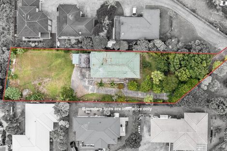 Photo of property in 79 Buscomb Avenue, Henderson, Auckland, 0610