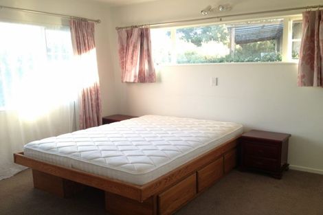 Photo of property in 107 Bushlands Park Drive, Albany, Auckland, 0632