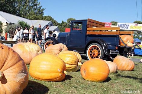Photo of property in 138 Taupaki Road, Taupaki, 0782