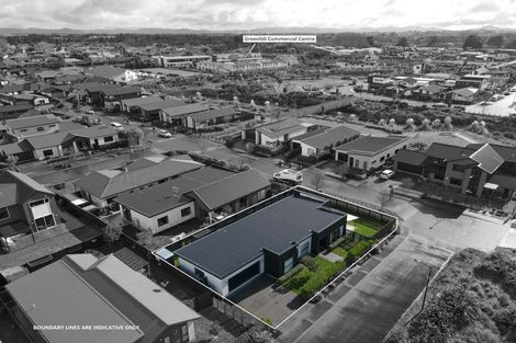 Photo of property in 41 Medway Place, Chartwell, Hamilton, 3210