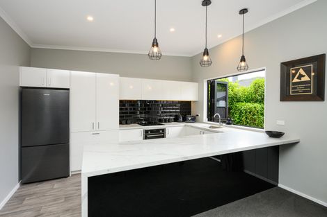 Photo of property in 30a Alfred Street, Roslyn, Palmerston North, 4414