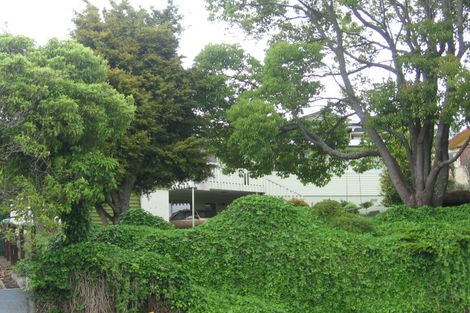 Photo of property in 38 Norwood Road, Paeroa, 3600