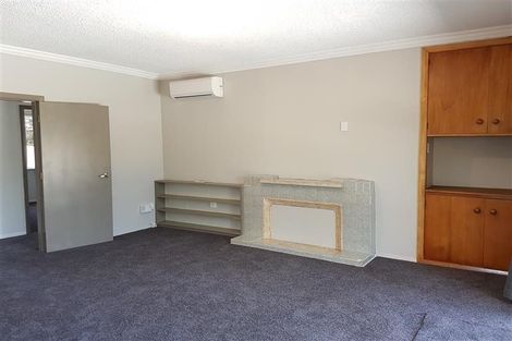 Photo of property in 330 Tremaine Avenue, Takaro, Palmerston North, 4412