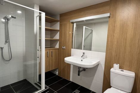 Photo of property in Monument Apartments, 2j/245 Wakefield Street, Te Aro, Wellington, 6011