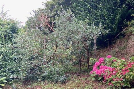 Photo of property in 39 Onslow Road, Khandallah, Wellington, 6035