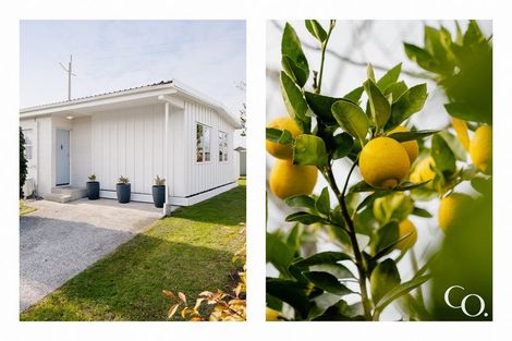 Photo of property in 20 Taipari Street, Maungatapu, Tauranga, 3112