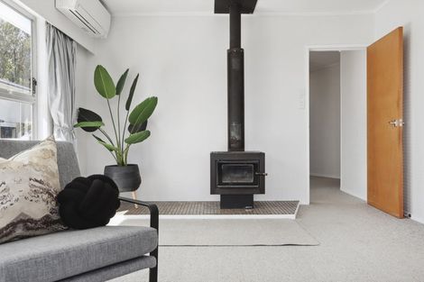 Photo of property in 43 Waitaki Street, Henderson, Auckland, 0612