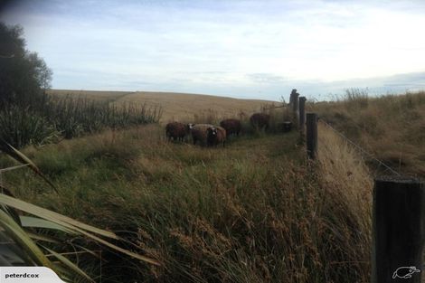 Photo of property in 524 Hayland Road, Okuku, 7473