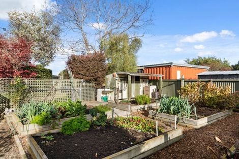 Photo of property in 14 Anglesea Street, Renwick, 7204