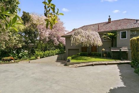 Photo of property in 201 Bridgman Road, Te Awamutu, 3800