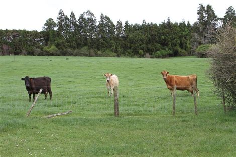 Photo of property in 87 Trig Road, Waihi, 3681