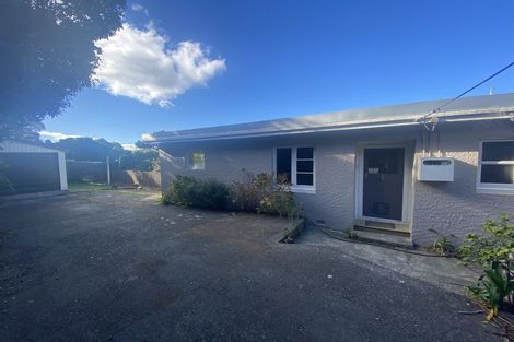 Photo of property in 161 The Ridgeway, Mornington, Wellington, 6021