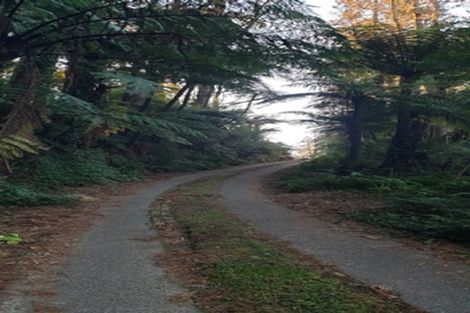 Photo of property in 1226a Pyes Pa Road, Pyes Pa, Tauranga, 3173