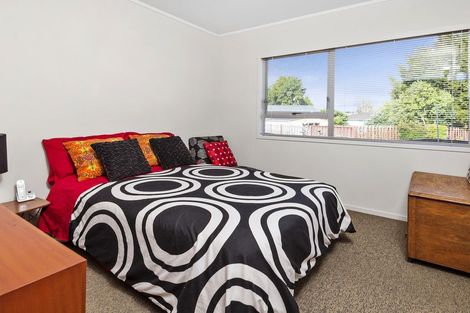 Photo of property in 15 Goodwin Drive, Rosehill, Papakura, 2113