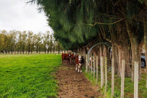 Photo of property in 472 Kairanga Bunnythorpe Road, Newbury, Palmerston North, 4478