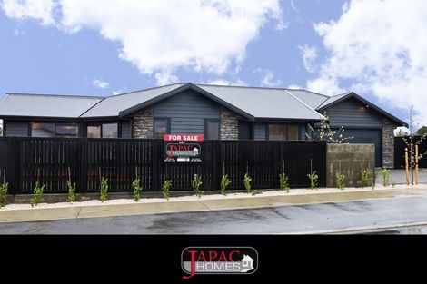 Photo of property in 4 Mangatainoka Lane, Awapuni, 4412