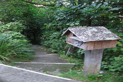 Photo of property in 87 Cluny Road, Plimmerton, Porirua, 5026