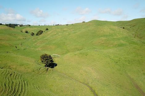 Photo of property in 259 Arapohue Road, Turiwiri, Dargaville, 0374