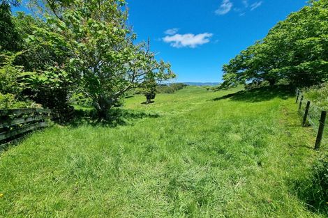 Photo of property in 166 Paekaka Road, Piopio, 3970