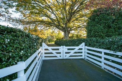 Photo of property in 45 Lowe Road, Rukuhia, Hamilton, 3282