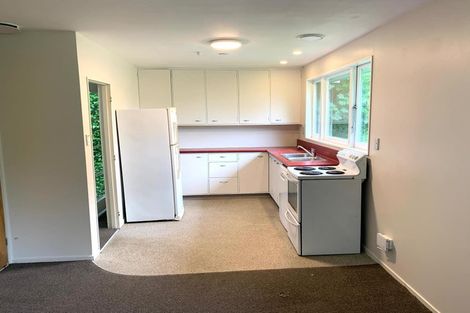 Photo of property in 36 Norway Street, Aro Valley, Wellington, 6012