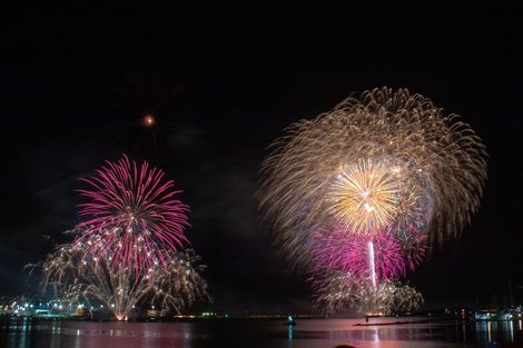 Photo of property in 10 Satchell Way, Kaiwharawhara, Wellington, 6035