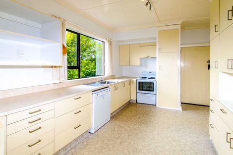 Photo of property in 19 Scoular Street, Maryhill, Dunedin, 9011