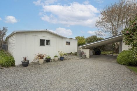 Photo of property in 39a Macarthur Street, Levin, 5510