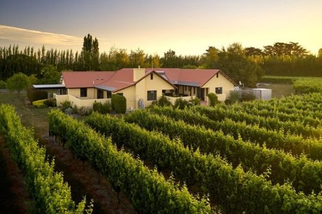 Photo of property in 91 Hillocks Road, Spring Creek, Blenheim, 7273