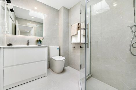 Photo of property in 2/17 Auburn Street, Grafton, Auckland, 1023