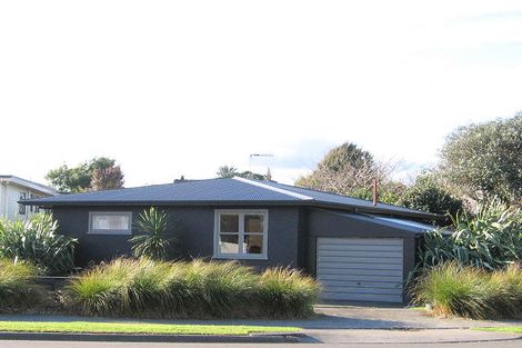 Photo of property in 431 Ruahine Street, Terrace End, Palmerston North, 4410