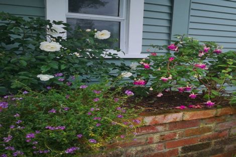 Photo of property in 197 Brady Street, Te Awamutu, 3800