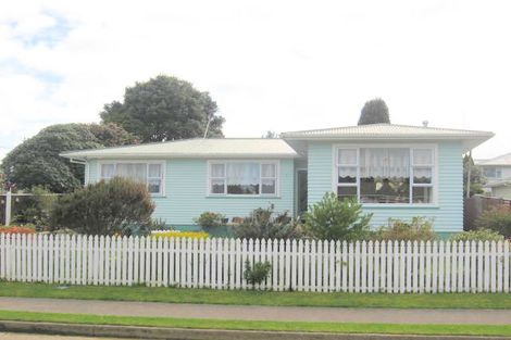 Photo of property in 26 Gordon Place, Levin, 5510