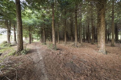 Photo of property in 259 Kahuterawa Road, Linton, Palmerston North, 4472