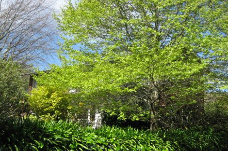 Photo of property in 10 Avon Terrace, The Wood, Nelson, 7010