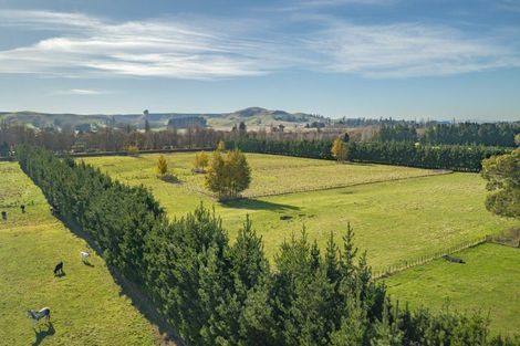 Photo of property in 2450 State Highway 2, Waipukurau, 4281