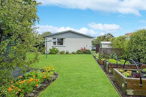 Photo of property in 251a Lyttelton Street, Spreydon, Christchurch, 8024