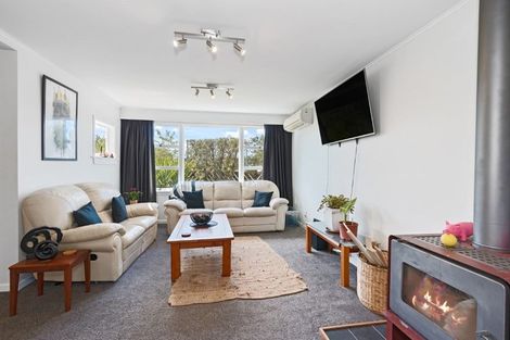Photo of property in 117 Joy Street, Shirley, Christchurch, 8061