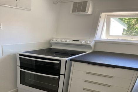 Photo of property in 43 Honiana Te Puni Street, Aro Valley, Wellington, 6021