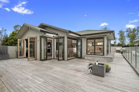 Photo of property in 534 Te Puke Highway, Te Puke, 3187