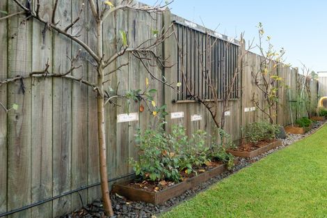 Photo of property in 6/100 Millers Road, Brookfield, Tauranga, 3110