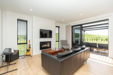 Photo of property in 133 Robson Road, Ngahinapouri, Hamilton, 3290