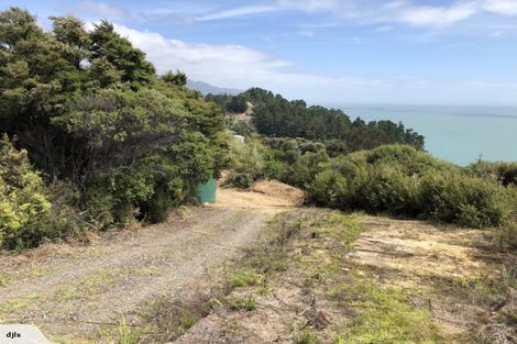 Photo of property in 45 Otuturu Crescent, Ruamahunga, Thames, 3575