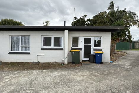 Photo of property in 13 Coburg Street, Henderson, Auckland, 0612