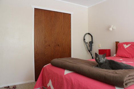 Photo of property in 29 Paradise Road, Coopers Beach, 0420