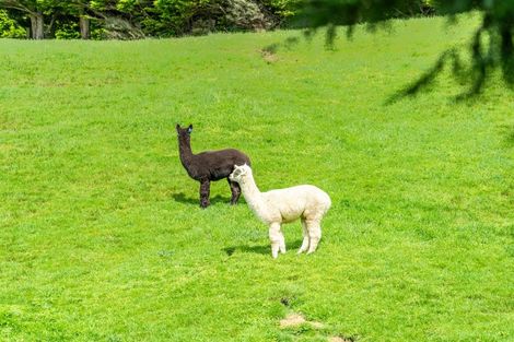 Photo of property in 20 Coroglen Rise, Pukerua Bay, 5026