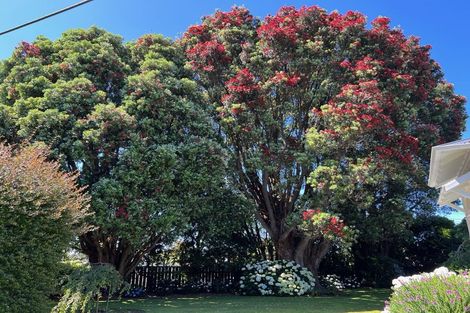 Photo of property in 16 Fairfield Road, Hawera, 4610