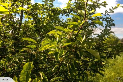 Photo of property in 12 Caulfeild Street, Ranfurly, 9332