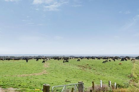 Photo of property in 890a Otaraoa Road, Tikorangi, Waitara, 4383